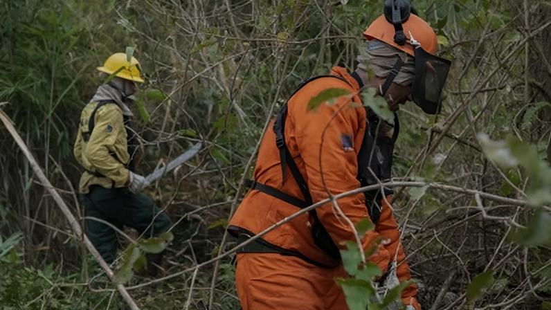Cenário com El Niño forte ou muito forte pode acarretar em agravamento das queimadas.