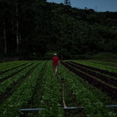SC anuncia R$ 750 milhões para manter renda e produção no campo e na pesca