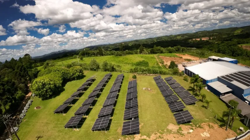 No Dia Mundial do Meio Ambiente, a preservação das nascentes, aquíferos e áreas de mata nativa reforça a importância de ações concretas para a segurança hídrica e a conservação do planeta. (Foto: Divulgação)