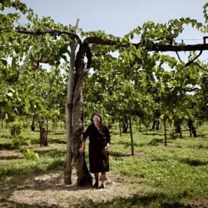 Lista de finalistas da fotografia Old Vine em mostra de patrimônio