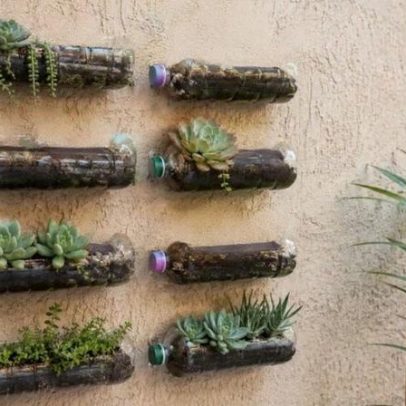 Garrafas de óleo vazias ganham uso sustentável em casa
