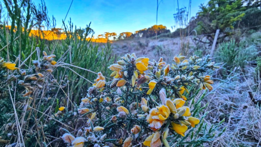 Geada na cidade de Bom Jardim da Serra, Santa Catarina