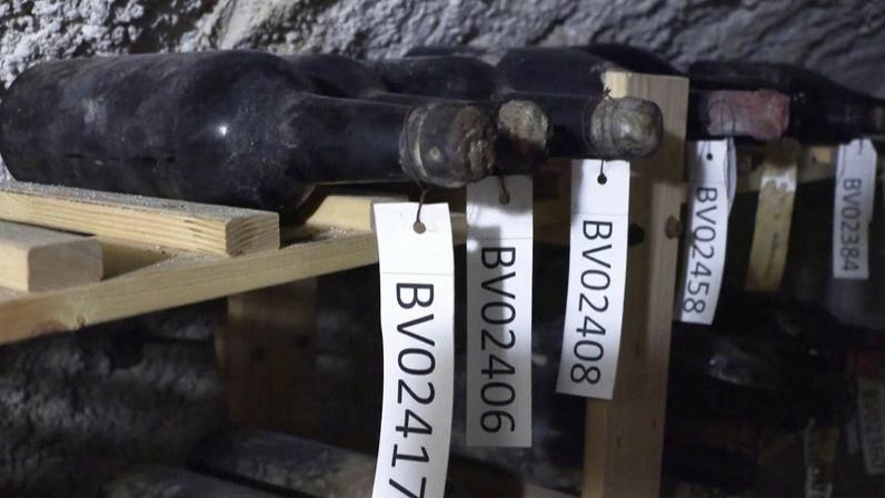 Vinhos de vinho antigas armazenadas horizontalmente em prateleiras de madeira dentro de uma adega. Estão cobertas de poeira e identificadas por etiquetas brancas com códigos.