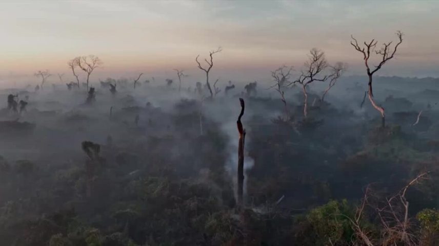 Fenômeno climático pode piorar situação de produtores já fragilizados