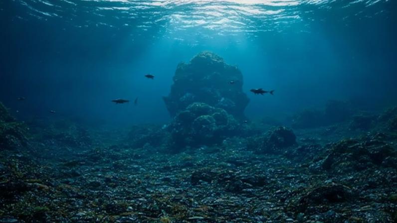 Cena subaquática com mergulhador iluminado por lanterna, cercado por rochas e corais sob luz azul. O fundo mostra o relevo do mar e a superfície vista de baixo.