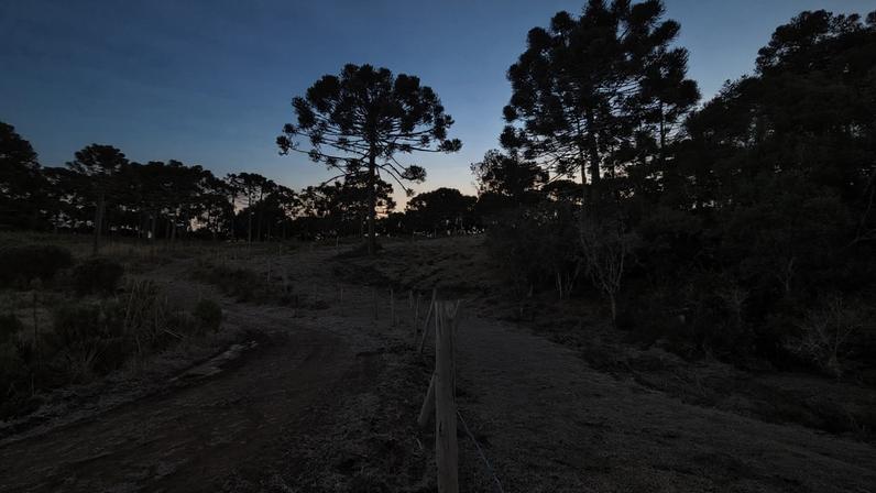 Massa de ar polar marca início do inverno e derruba temperaturas no Brasil. (Foto: Mycchel Legnaghi/Prefeitura de São Joaquim)