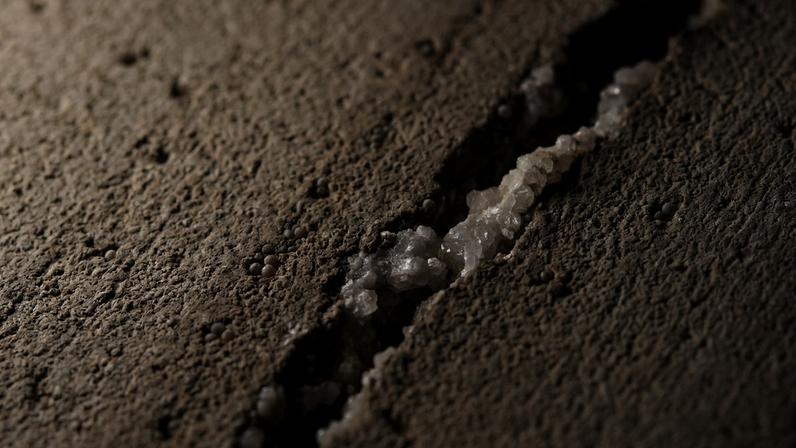 Concreto com bactérias pode selar rachaduras de até 0,8 mm por 200 anos