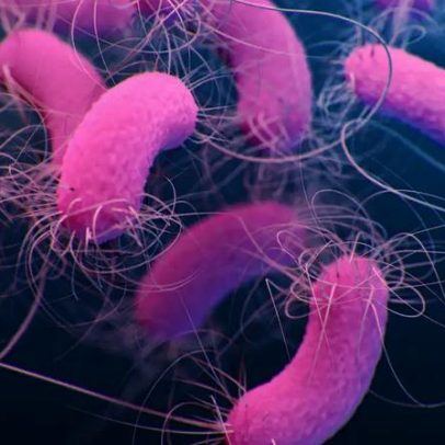Pseudomonas aeruginosa contamina água Crystal e produtos Ypê, cientista explica