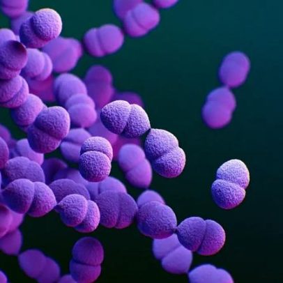 Vacina ampliada contra pneumonia e meningite passa a integrar o SUS