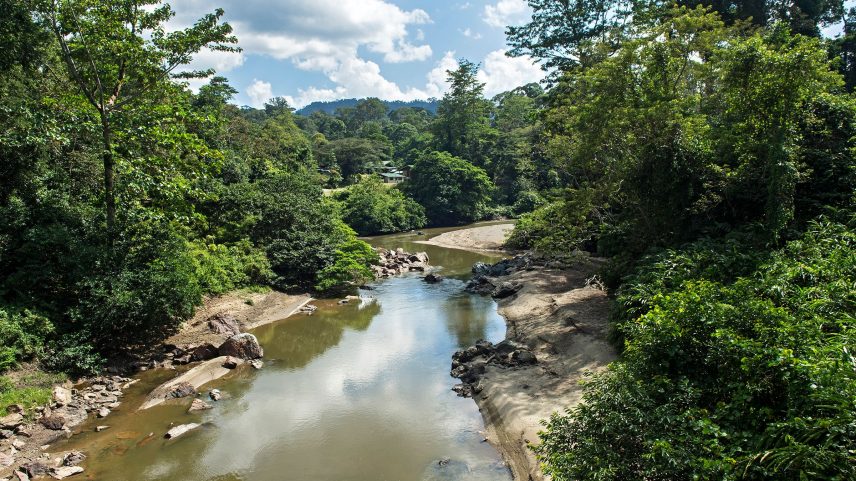 Danum river flows through the lowland of the rainforest on a sunny day