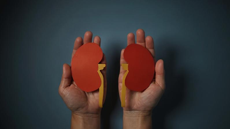 Doença renal crônica: problema afeta cerca de 10% da população brasileira (Foto: GI/Getty Images)