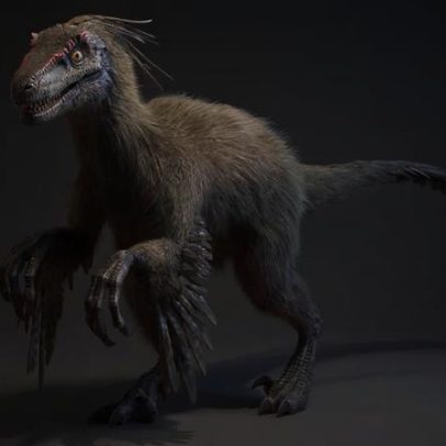 Ossos de parente próximo de velociraptor são encontrados na China