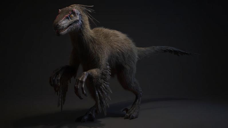 Ilustração de um velocirraptor (Kaulitzki/Scienxe Photo Library/Getty Images)