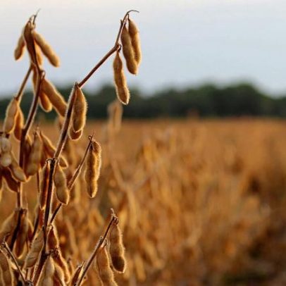 Agro enfrenta guerra, margens apertadas e El Niño.