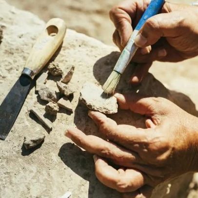 Falta de reprodução sexual pode ter atrasado a evolução da vida na Terra