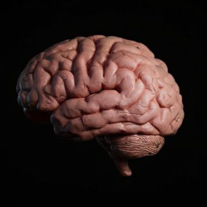 Bilíngues apresentam padrões cerebrais semelhantes ao falar idiomas diferentes