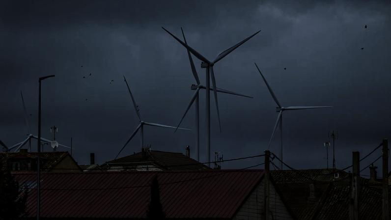 Parque eólico: o foco em fontes renováveis barateou o custo da energia elétrica
