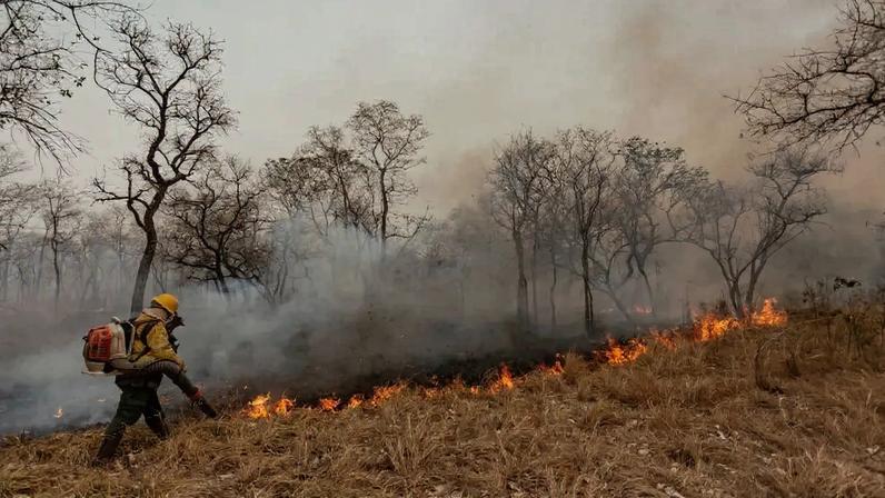 Bombeiro com capacete amarelo e roupa protetora usa um soprador para combater um incêndio em uma área de vegetação seca, com fumaça densa e árvores desfolhadas ao fundo