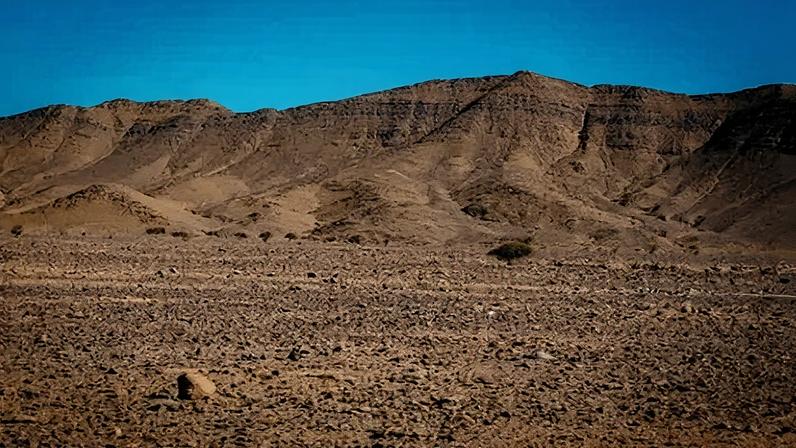 TATA - ZAGORA ROUTE, MOROCCO - 2024/04/02: Acacia tree in the hamada desert. (Photo by Raquel Maria Carbonell Pagola/LightRocket via Getty Images)