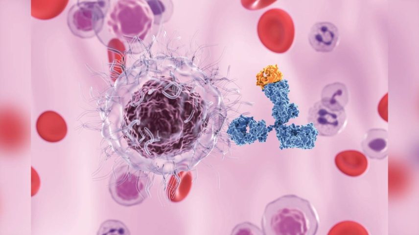 FOCO NO DETALHE - Na mira: tratamentos modernos têm como alvo proteínas ou até genes das células tumorais (Nemes Laszlo/SPL/Getty Images)
