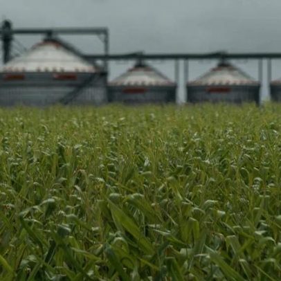 Déficit de armazenagem tira 88 bilhões do produtor brasileiro em três anos
