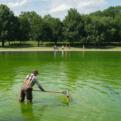 Especialista da internet em piscinas não sabe consertar a piscina refletora