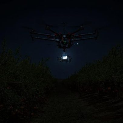 Novas IA de decisão chegam ao agronegócio