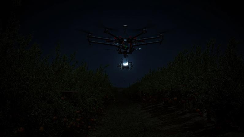 Drone em plantação: coleta e análise de dados melhora a produtividade