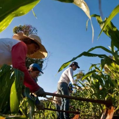 Debate sobre Fundo Garantidor do Agro ganha impulso