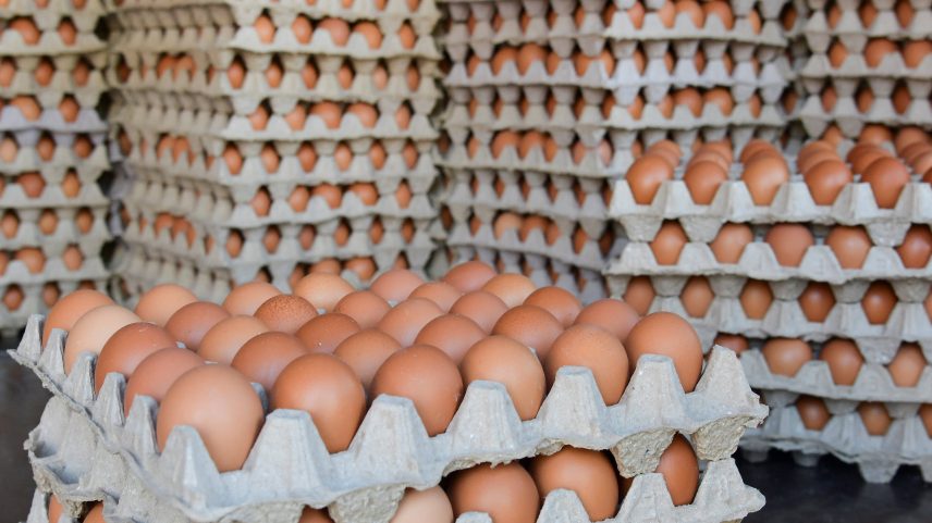 Ovos não foram colocados em lista de exceções das novas tarifas