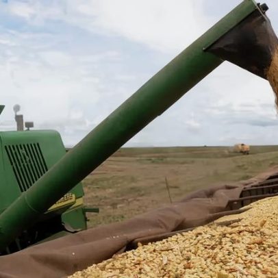 Soja terá safra recorde; algodão, arroz, milho, feijão e trigo devem recuar