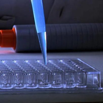Tecnologia acelera análise de nutrientes no solo para reduzir desperdícios