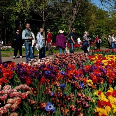 Roteiro na Holanda: o que fazer em Amsterdã e outras cidades
