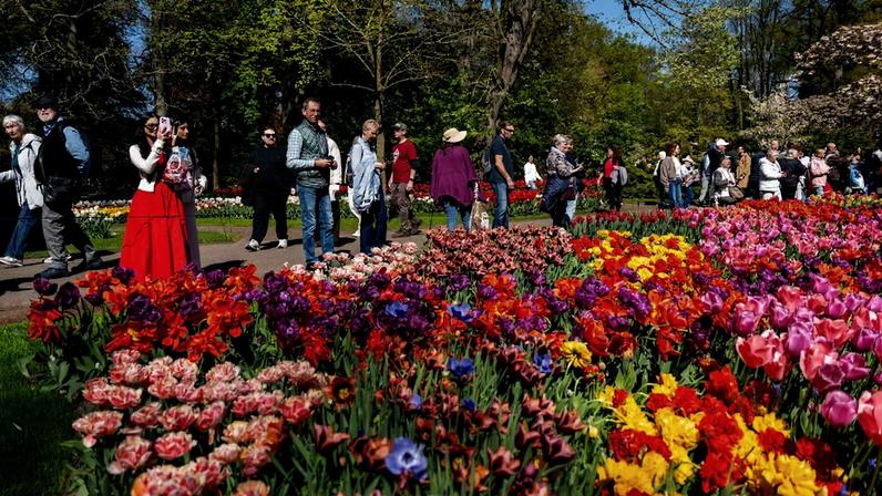 Laranja Mecânica em campo, o europeu também é um dos principais lugares turísticos do mundo, com jardins de tulipa, moinhos e queijos famosos. Museus mostram obras de Van Gogh e Rembrandt