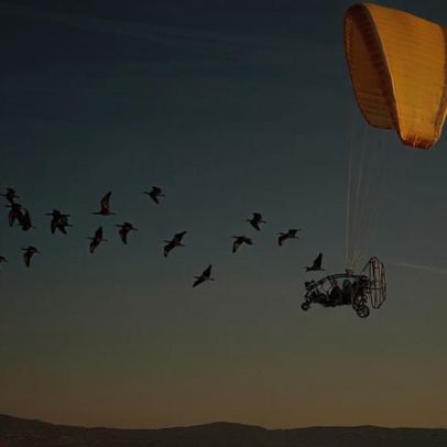Casal usa parapente para ajudar pássaros raros a migrar para a Espanha