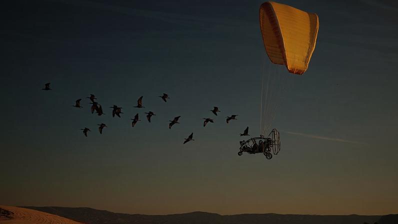 Foto do parapente guiando as aves ganhou prêmio da revista Science