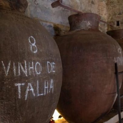 Talha tales: revivendo os vinhos de ânfora do Alentejo