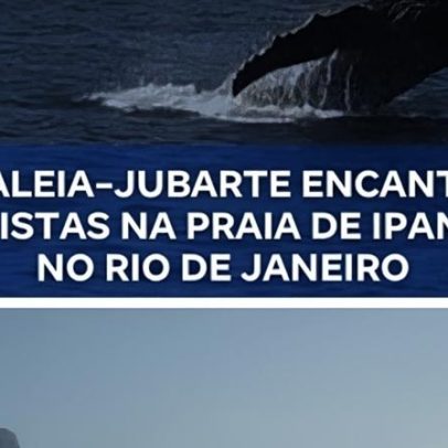 Baleia é avistada na praia de Ipanema, no RJ, atrai curiosos