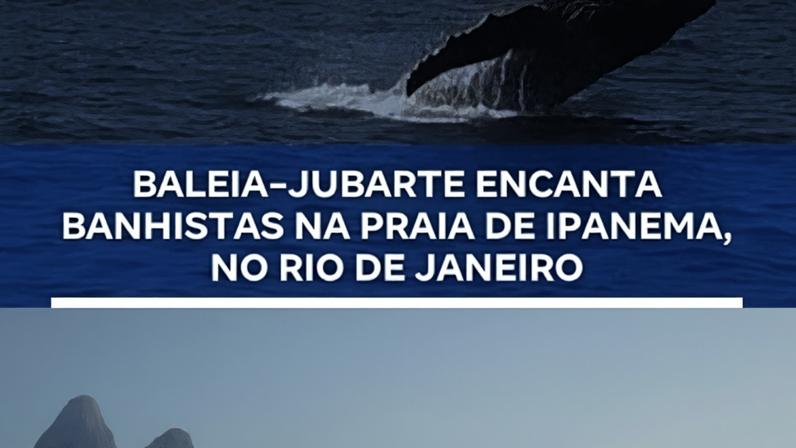 Reprodução canal do Youtube Record News