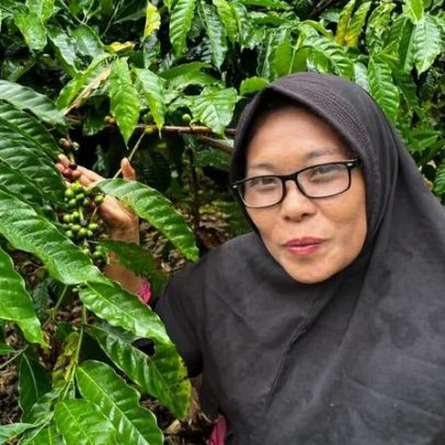 Em Sumatra, manejo florestal comunitário liga conservação à subsistência