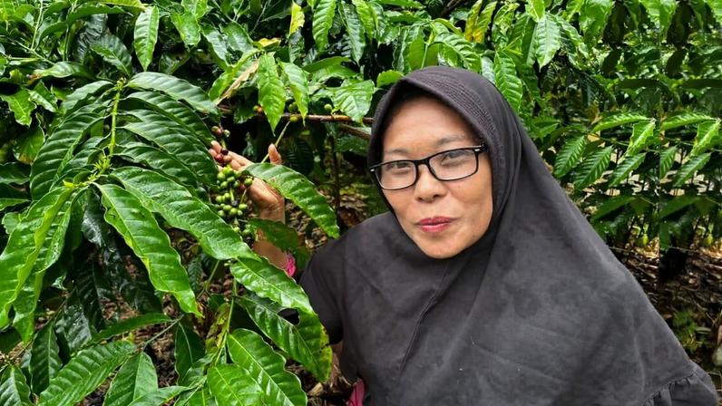 Sri Atmiatun in her coffee farm, part of the social forestry program in Sumatra.