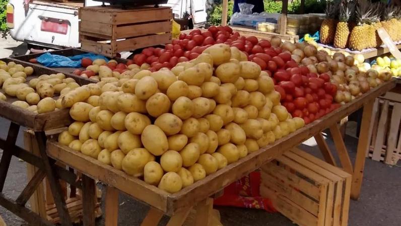 Batata e tomate foram os alimentos que mais subiram em maio (Helena Pontes/Agência IBGE/Divulgação)
