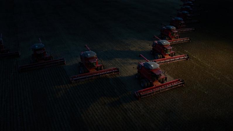 Vista aérea de várias colheitadeiras vermelhas alinhadas, trabalhando na colheita de um campo agrícola extenso.