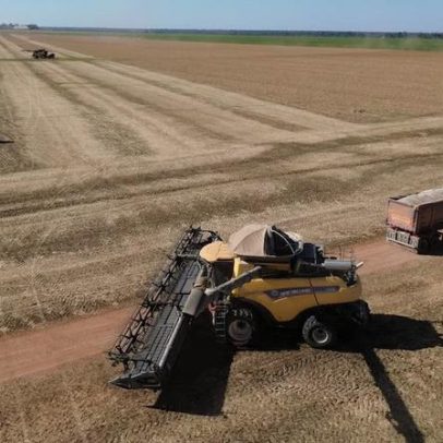 Fim da escala 6x1: quem ocupará as vagas no campo