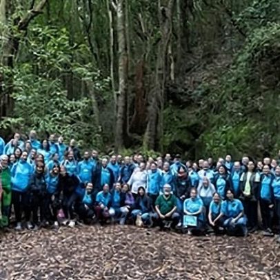 Voluntariado corporativo se mobiliza para enfrentar desafios sociais e ambientais