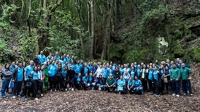 Voluntariado corporativo se mobiliza para enfrentar desafios sociais e ambientais