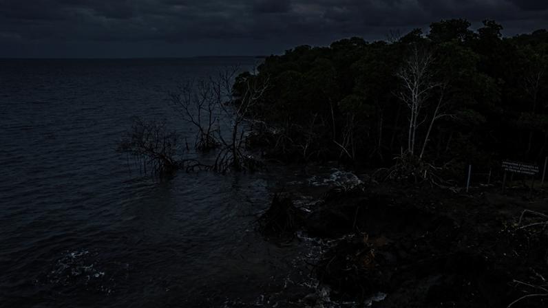 Manguezais podem deixar de armazenar carbono e agravar as mudanças climáticas futuras (Imagem: Fala Ciência via Gemini)