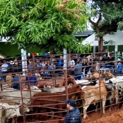 14º Churrasco Beneficente da Vila Vicentina reúne solidariedade em Piratininga
