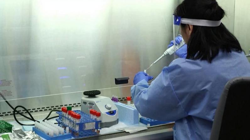Pessoa em laboratório manipulando pipeta e tubos de ensaio em cabine de segurança