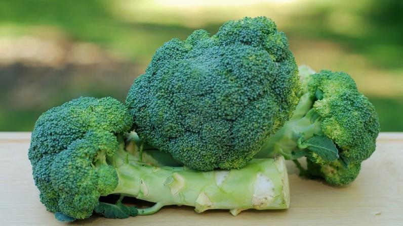 Talos de brócolis têm ação anti-inflamatória natural. (Foto: Getty Images via Canva)